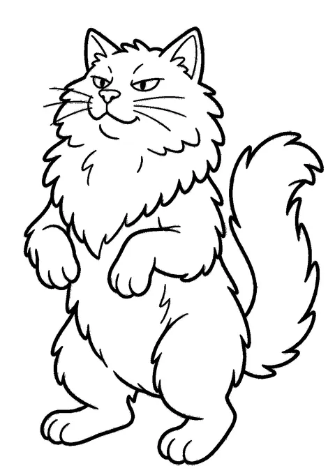 Cat coloring pages — Fluffy long-haired cat standing
