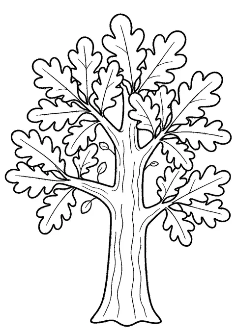 Fall coloring pages — Big autumn oak tree