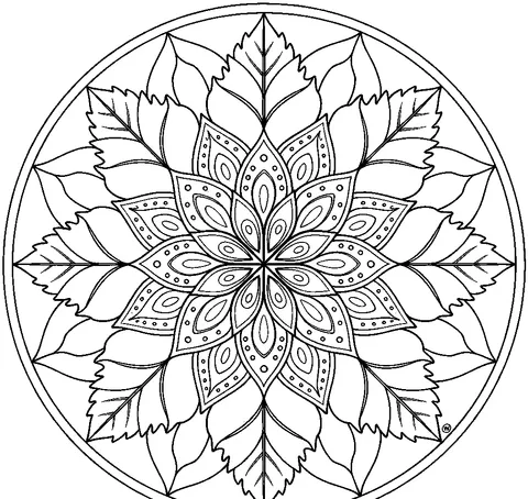 Mandala coloring pages — Petal and leaf mandala