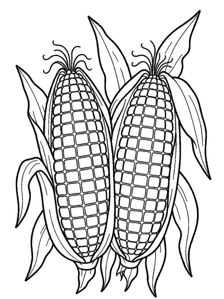 Thanksgiving coloring pages — Two ears of corn with husks